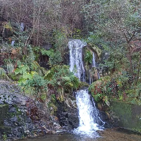 Appartamento O Ninho 94